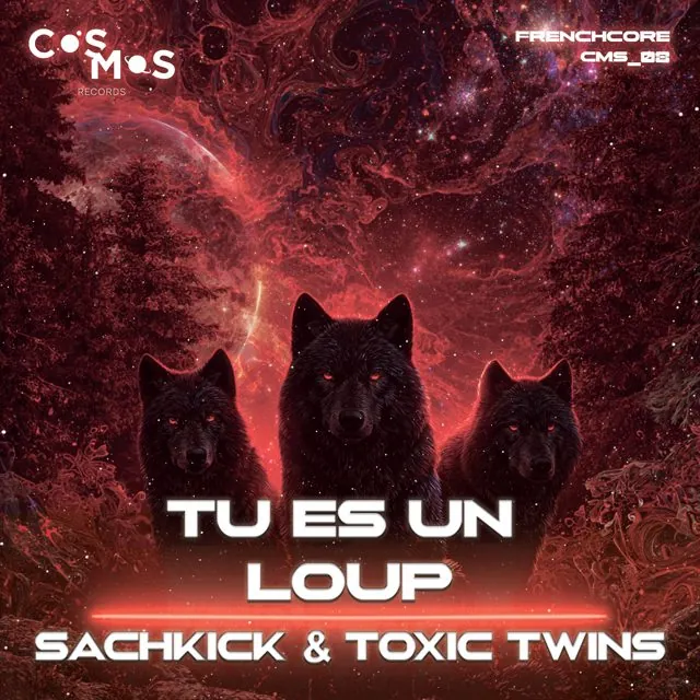 Pochette Tu Es Un Loup