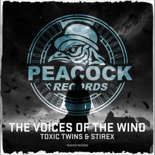 Pochette The Voices Of The Wind